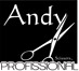 logo-andy